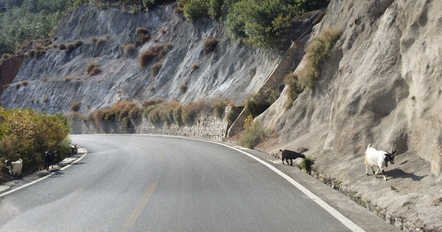 講真的，我碰到了20年后的我...