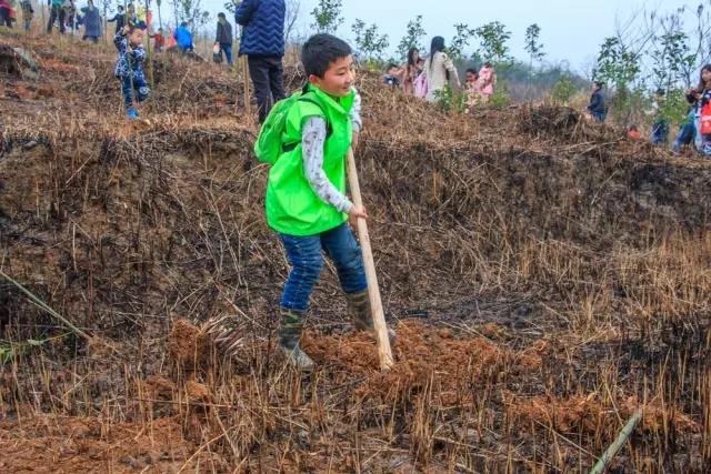 建設(shè)生態(tài)邵陽(yáng)城，天嬌集團(tuán)在行動(dòng)