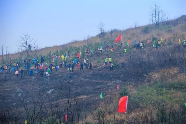 建設(shè)生態(tài)邵陽(yáng)城，天嬌集團(tuán)在行動(dòng)