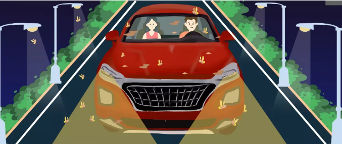 安全清除車身飛蟲，僅需十分鐘