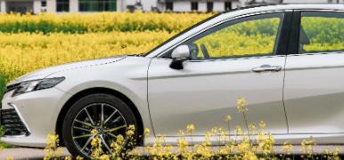 丨廣汽豐田天嬌寶慶店丨全新凱美瑞智能陪伴，將帶你馭見(jiàn)絕美婺源